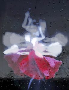 Galerie Ahlemann zeigt ein abstraktes Foto von Petra Jaenicke in schwarzen, weißen, grauen und roten Farbtönen.. Vor einem dunkelgrauen Hintergrund auf schwarzem Untergrund sieht man die schemenhafte Gestalt einer sich bewegenden Tänzerin in helleren Grautönen und weiß, deren roter Rock wie eine Mohnblüte anmutet.