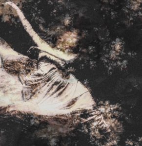 Galerie Ahlemann zeigt ein abstraktes Foto der Künstlerin Suria Kassimi aus ihrer Serie "danse macabre" auf dem in schwarz, weiß und braunen Farbtönen eine teilweise durch Pflanzenelemente überlagerte Ballerina zu sehen ist.