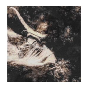 alerie Ahlemann zeigt ein abstraktes Foto der Künstlerin Suria Kassimi aus ihrer Serie "danse macabre" auf dem in schwarz, weiß und braunen Farbtönen eine teilweise durch Pflanzenelemente überlagerte Ballerina zu sehen ist.