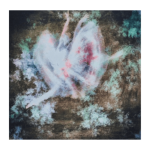 Galerie Ahlemann zeigt ein abstraktes Foto der Künstlerin Suria Kassimi aus ihrer Serie "danse macabre" auf dem eine springende Ballerina vor unscharfen Pflanzenteilen zu sehen ist.