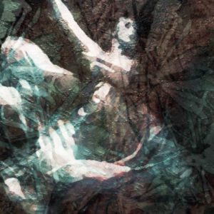 Galerie Ahlemann zeigt ein abstraktes Foto der Künstlerin Suria Kassimi aus ihrer Serie "danse macabre" auf dem eine Ballerina die teilweise von Pflanzenteilen überlagert wird.