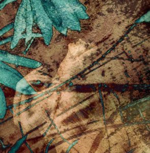 Galerie Ahlemann zeigt ein abstraktes Foto der Künstlerin Suria Kassimi aus ihrer Serie "danse macabre" auf dem in hellbraunen Farbtönen der Oberkörper einer Ballerina, teilweise überdeckt von türkisfarbenen Pflanzenteilen, zu sehen ist.