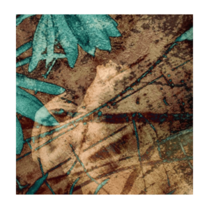 Galerie Ahlemann zeigt ein abstraktes Foto der Künstlerin Suria Kassimi aus ihrer Serie "danse macabre" auf dem in hellbraunen Farbtönen der Oberkörper einer Ballerina, teilweise überdeckt von türkisfarbenen Pflanzenteilen, zu sehen ist.