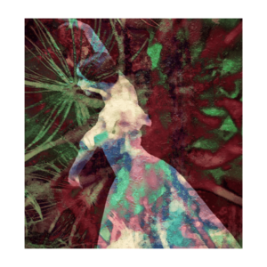 Galerie Ahlemann zeigt ein abstraktes Foto der Künstlerin Suria Kassimi aus ihrer Serie "danse macabre" auf dem eine Ballerina vor einem rot-grünen Hintergrund aus Pflanzenteilen zu sehen ist.